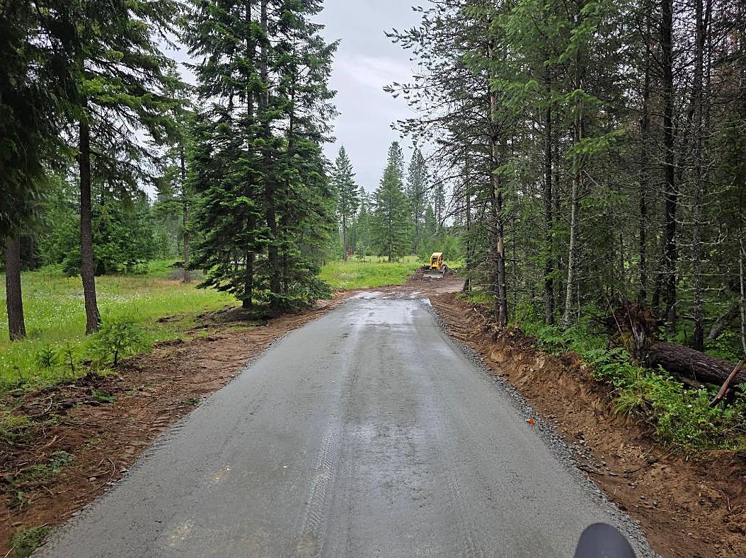 Finished forest driveway