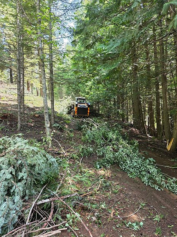 Land and tree clearing on a forested North Idaho slope