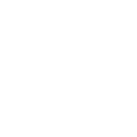 Improvements Unlimited, Duane Ricker Excavating logo, Sagle Idaho